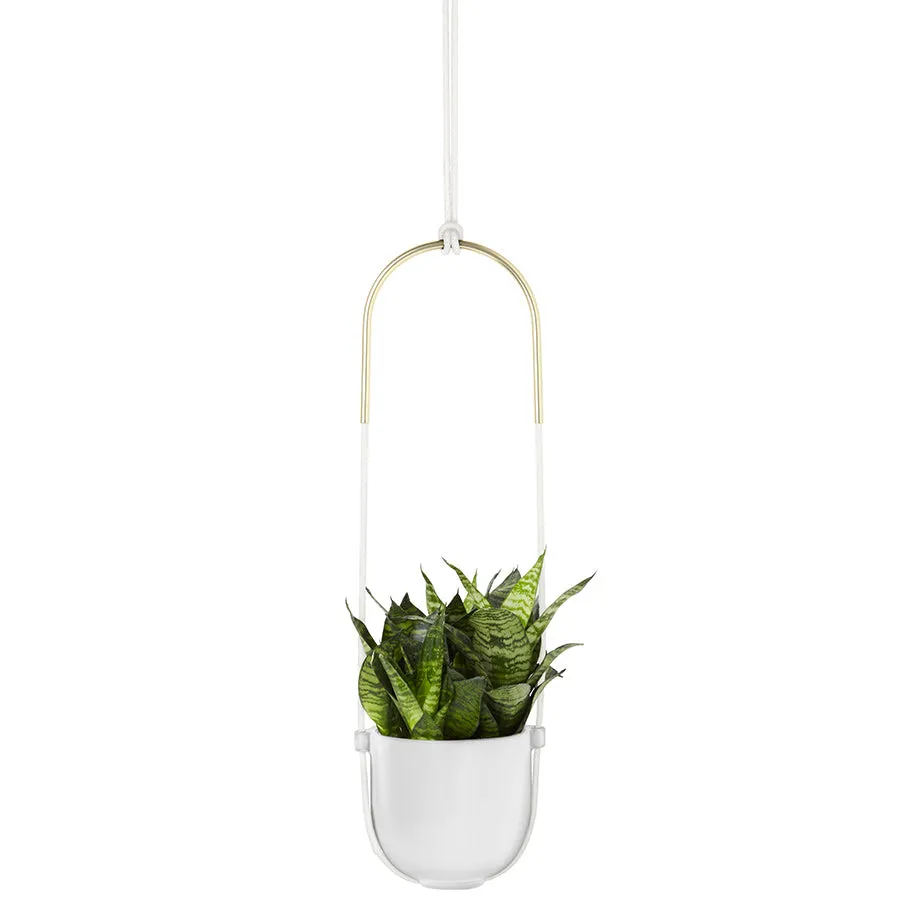Bolo Hanging Planter